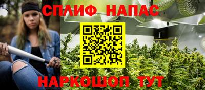прущие грибы Тара