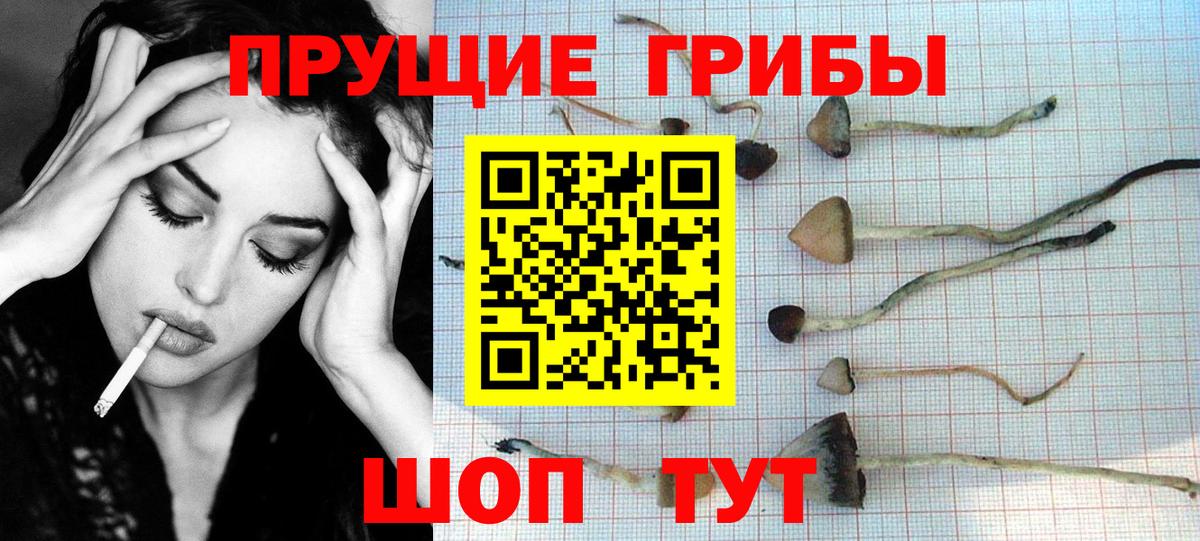 Галлюциногенные грибы мухоморы  Вход с VPN  Михайловка 