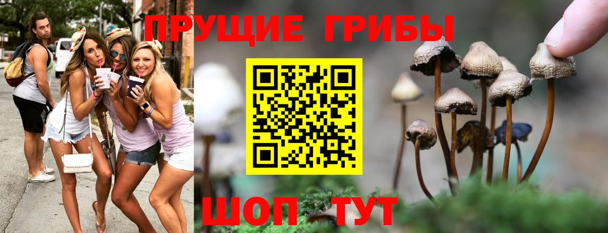 Галлюциногенные грибы прущие грибы Михайловка